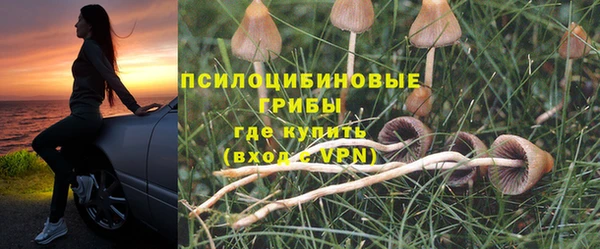 меф Алексин