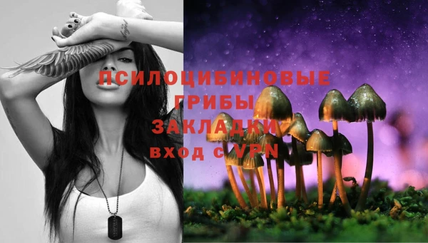 стаф Алексеевка