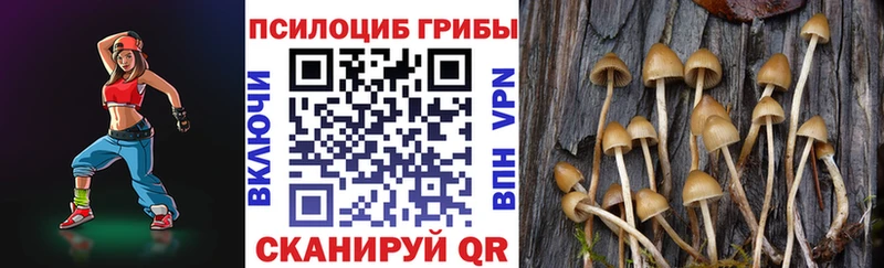 Псилоцибиновые грибы Magic Shrooms hydra зеркало Нижний Новгород